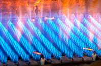 Birdston gas fired boilers